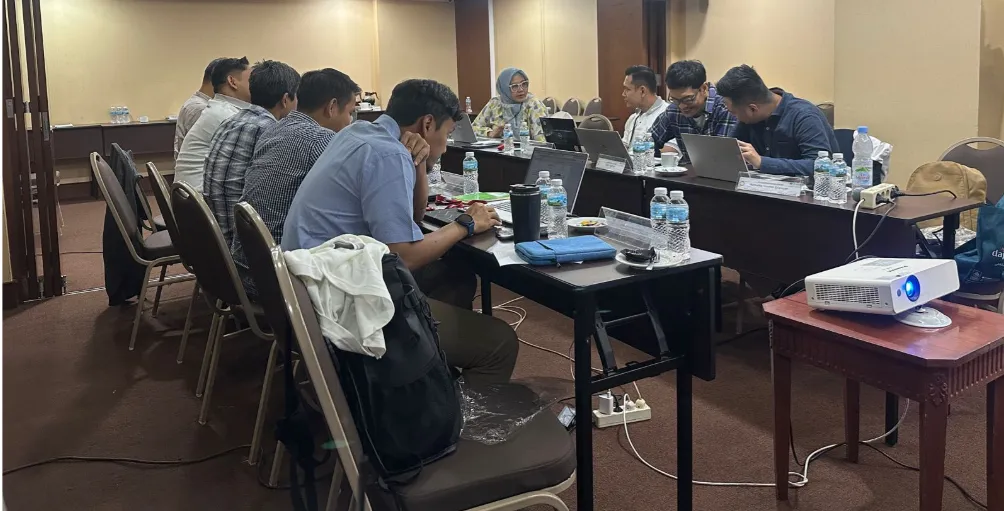 CBAP (Cert Business Analytic Professional)
